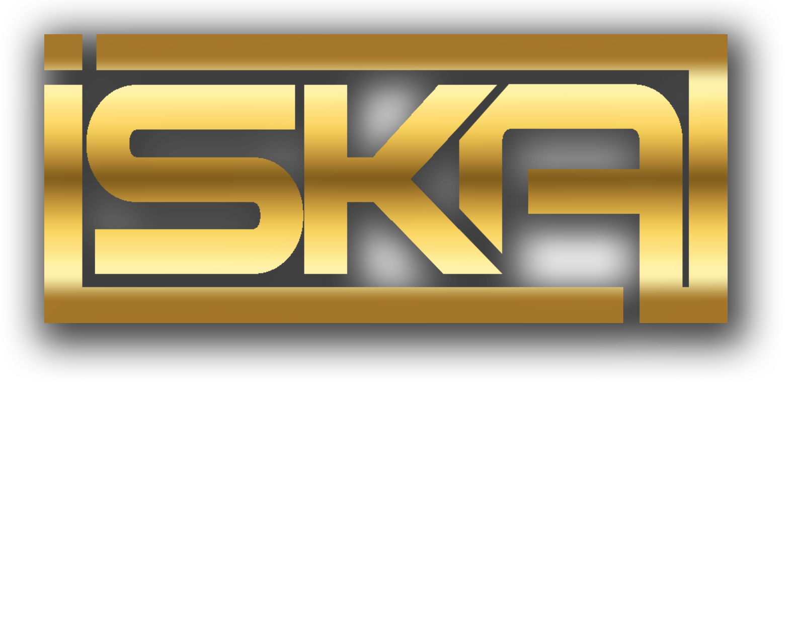 logo1